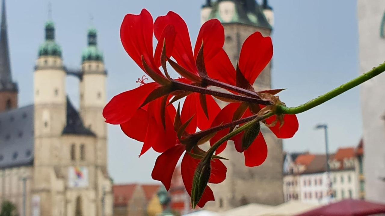 Budget Rooms In Halle With Shared Bathroom, Free Wifi, Netflix & Ipad Eksteriør bilde